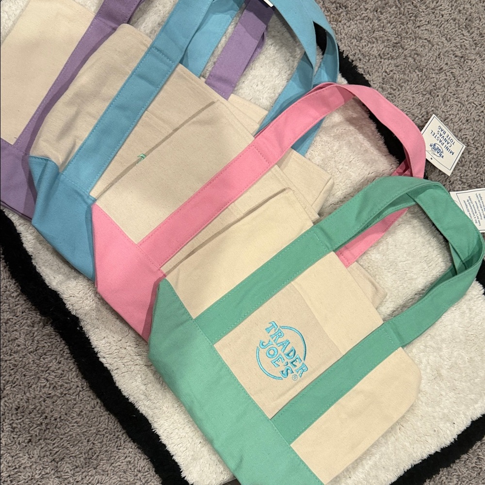 Trader Joe's Canvas Tote in Mint Green and Beige